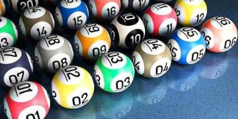 Sơ lược về sảnh TP Lottery