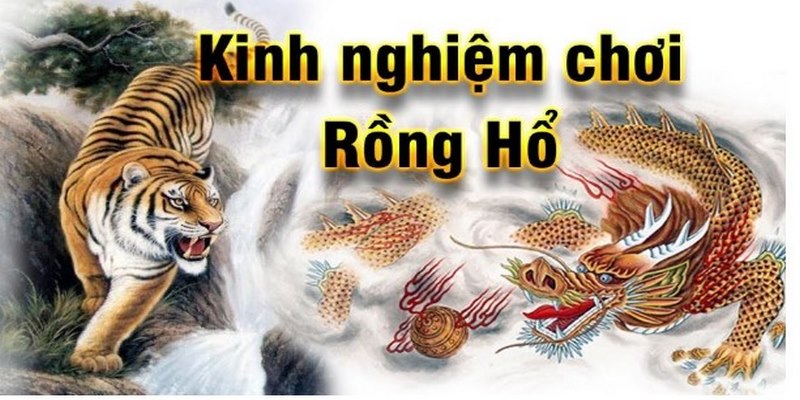 Cách chơi Rồng Hổ tại Mu88