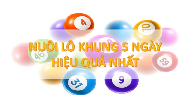 Phương pháp đánh lô khung trong 5 ngày mang đến tiền thưởng lớn